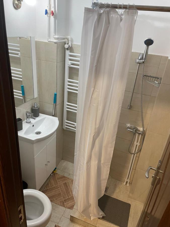 Studio Vio Lejlighed Tulcea Eksteriør billede